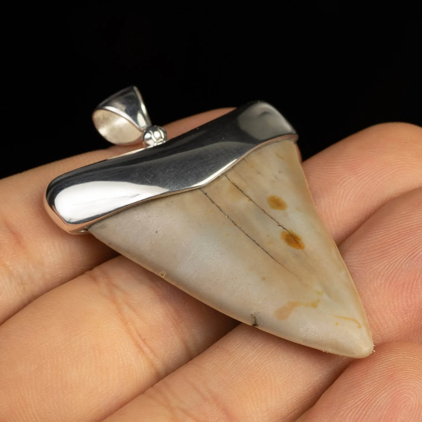 Pendente in argento con dente di squalo fossile