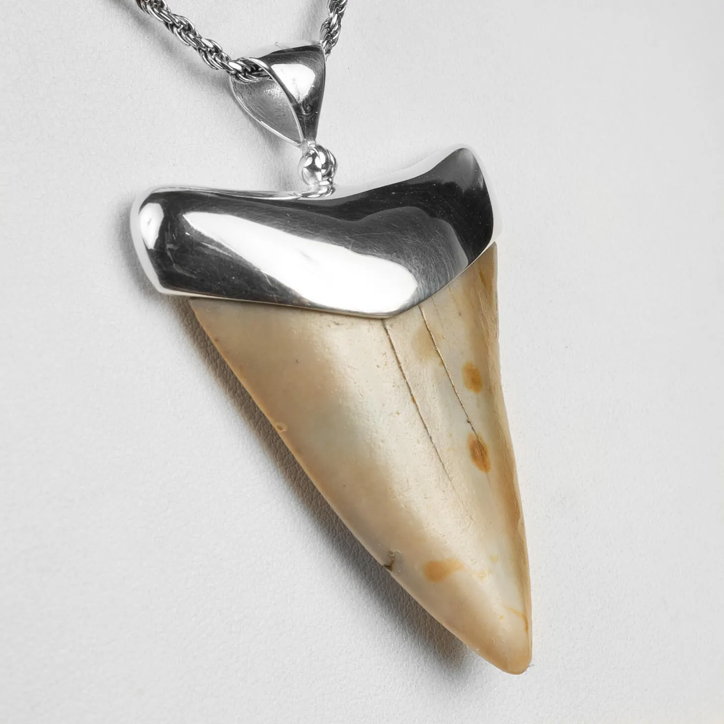 Pendente in argento con dente di squalo fossile