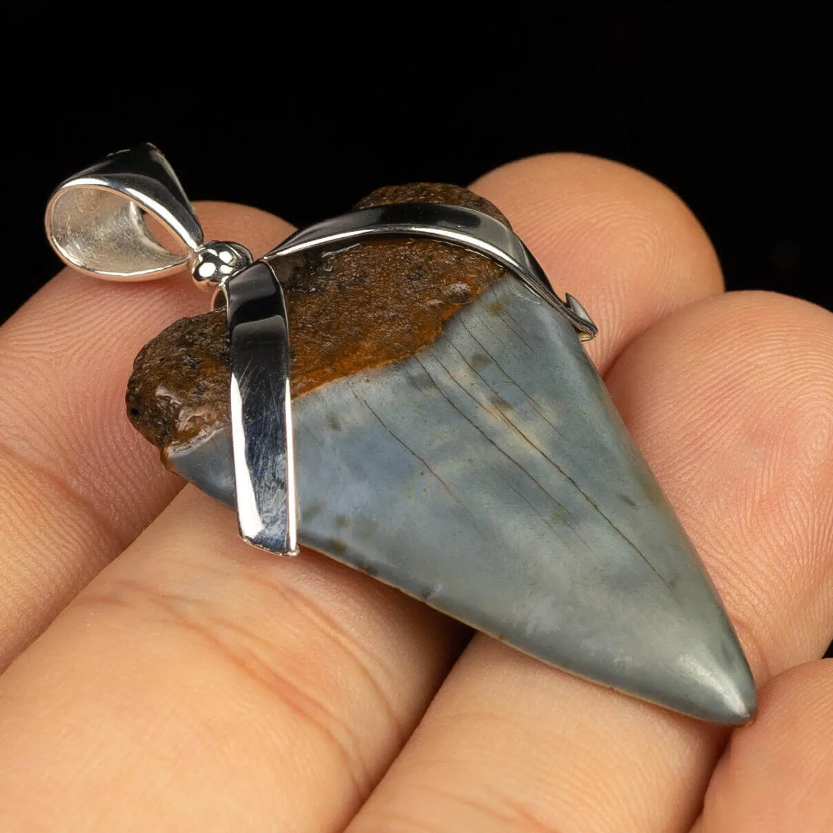 Pendente in argento con Dente di Squalo Fossile