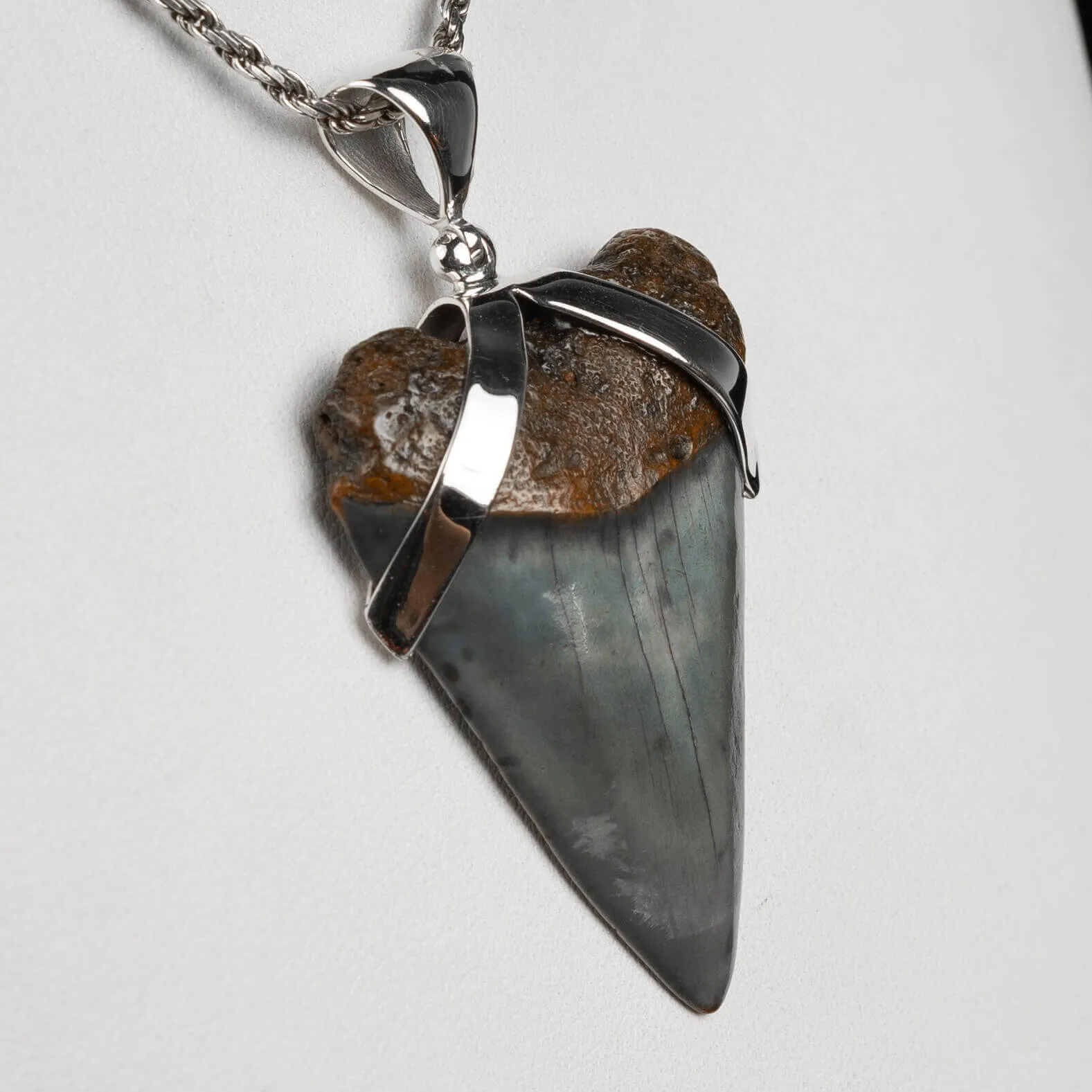 Pendente in argento con Dente di Squalo Fossile