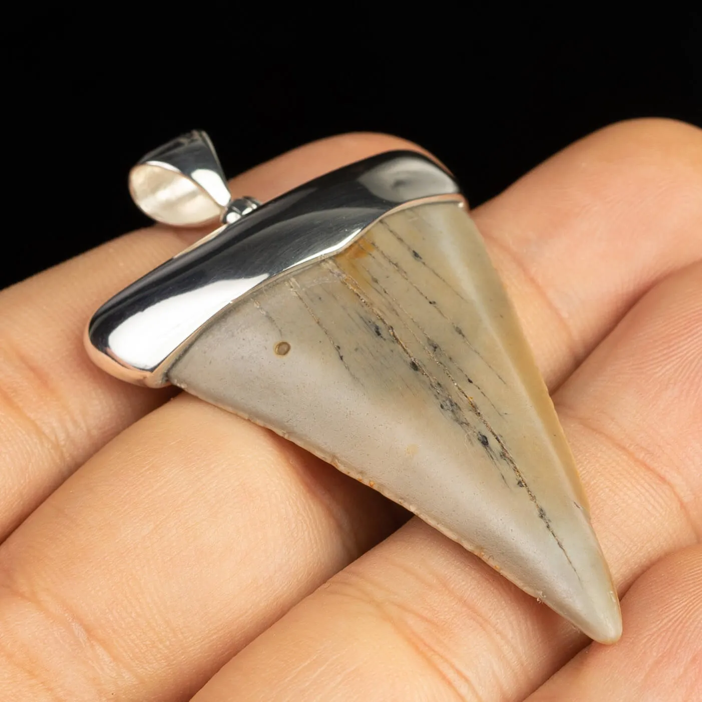 Pendente in argento con Dente di Squalo Fossile