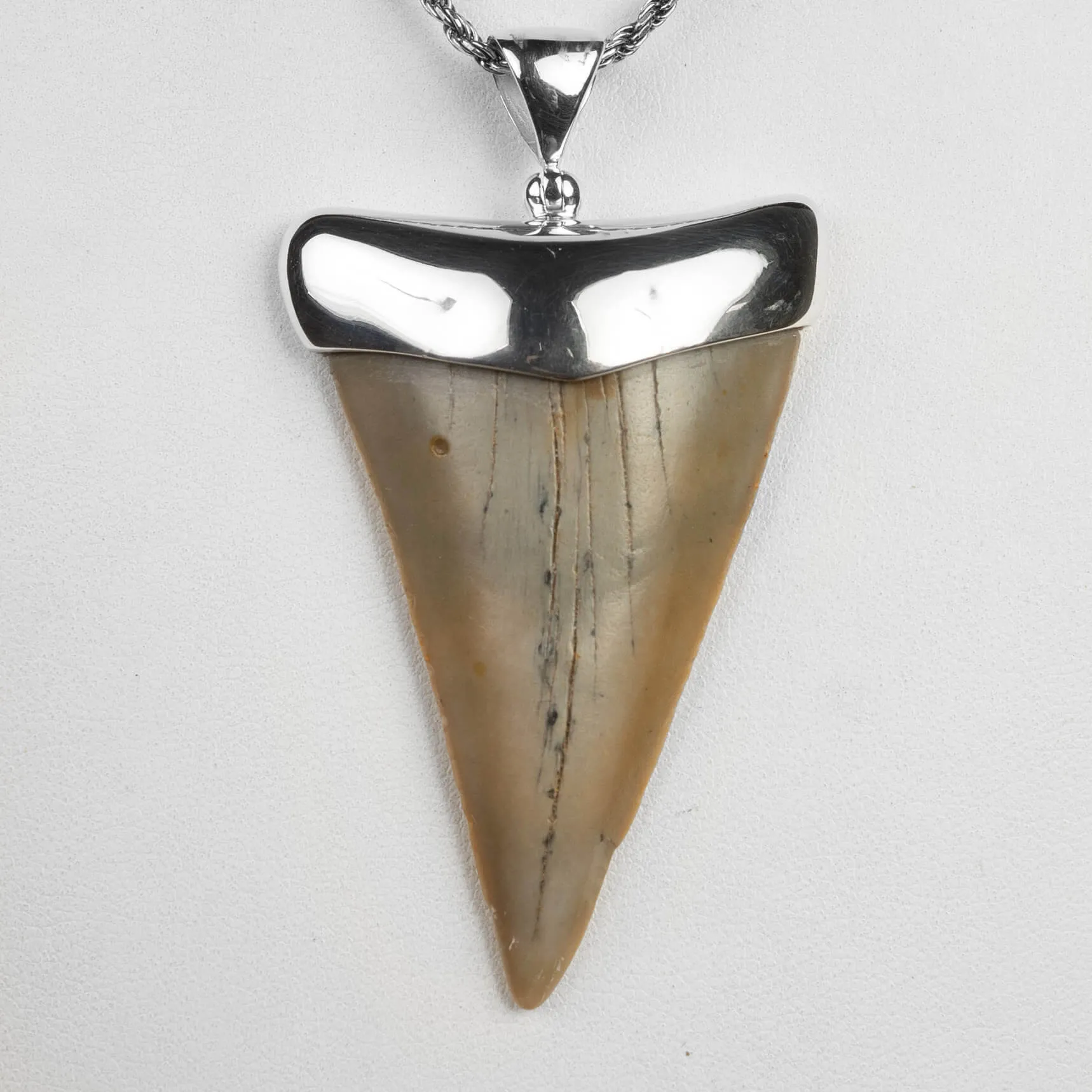 Pendente in argento con Dente di Squalo Fossile