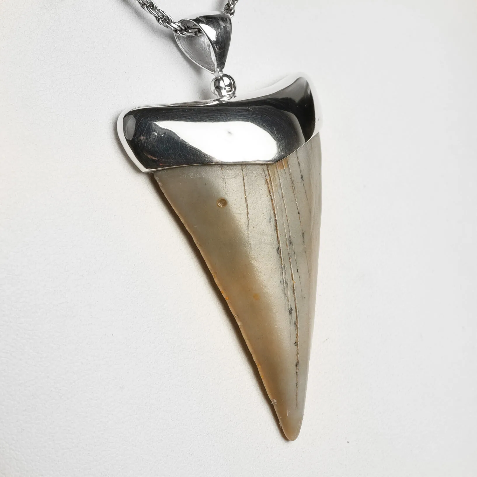 Pendente in argento con Dente di Squalo Fossile