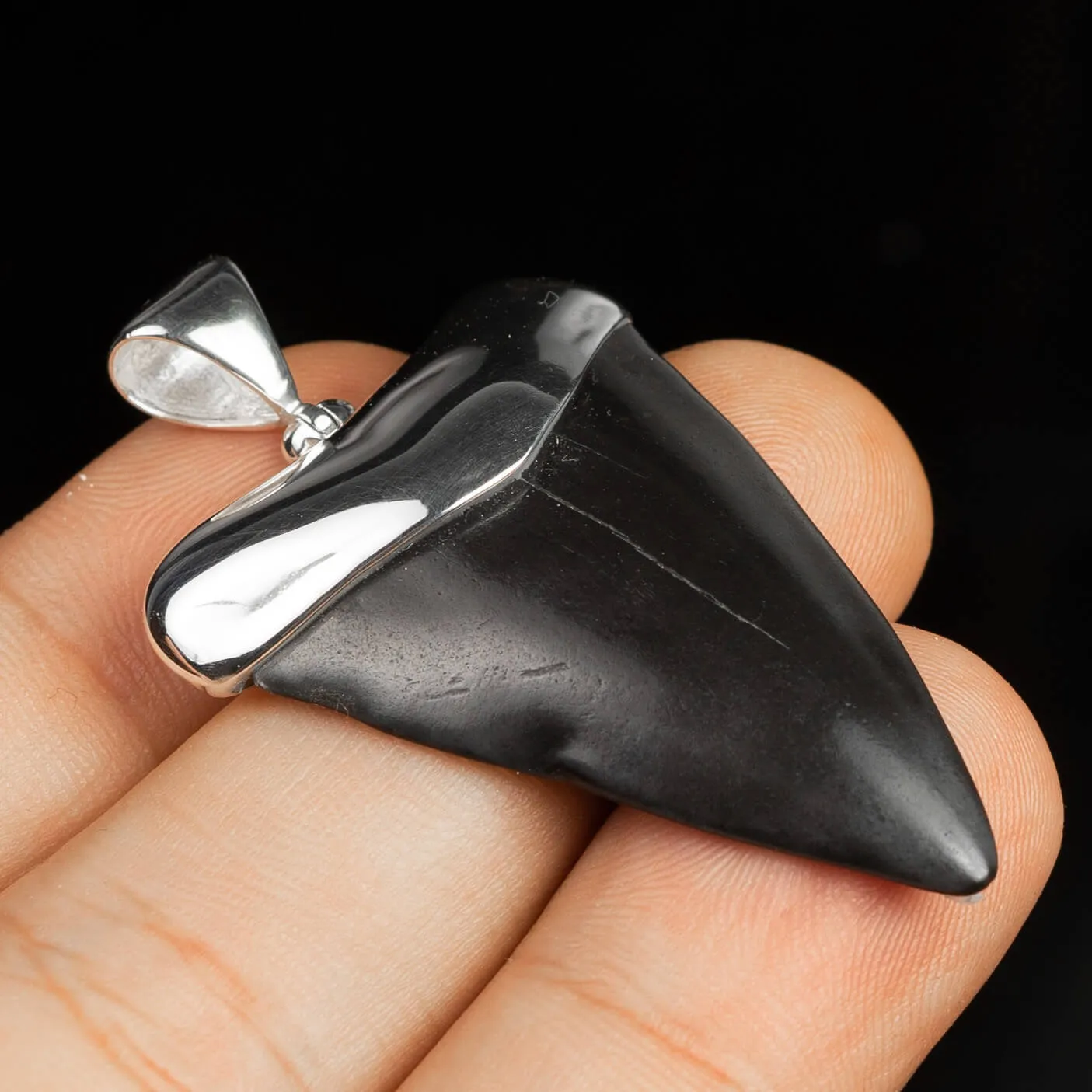 Pendente in argento con Dente di Squalo Fossile
