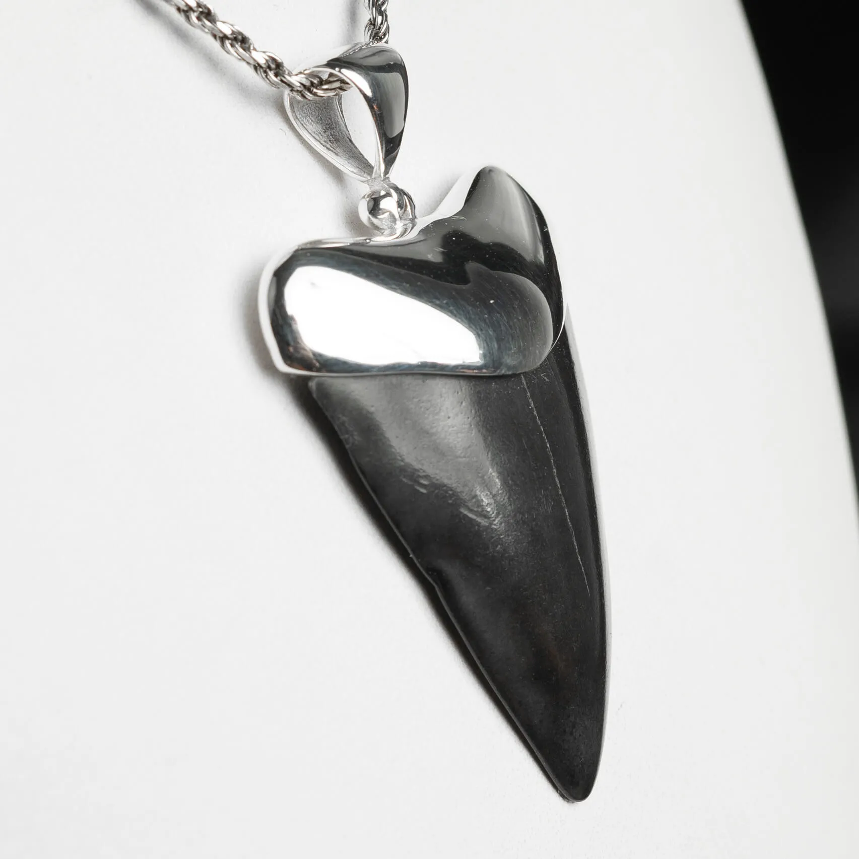 Pendente in argento con Dente di Squalo Fossile