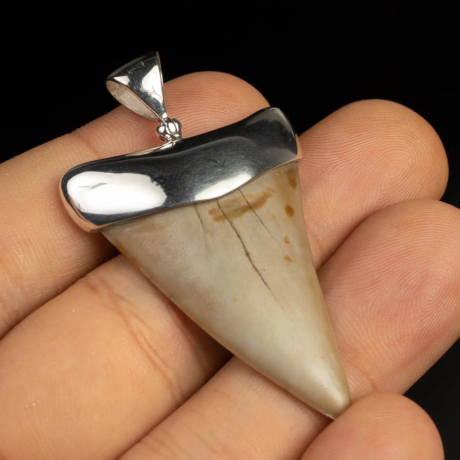 Pendente in argento con Dente di Squalo Fossile