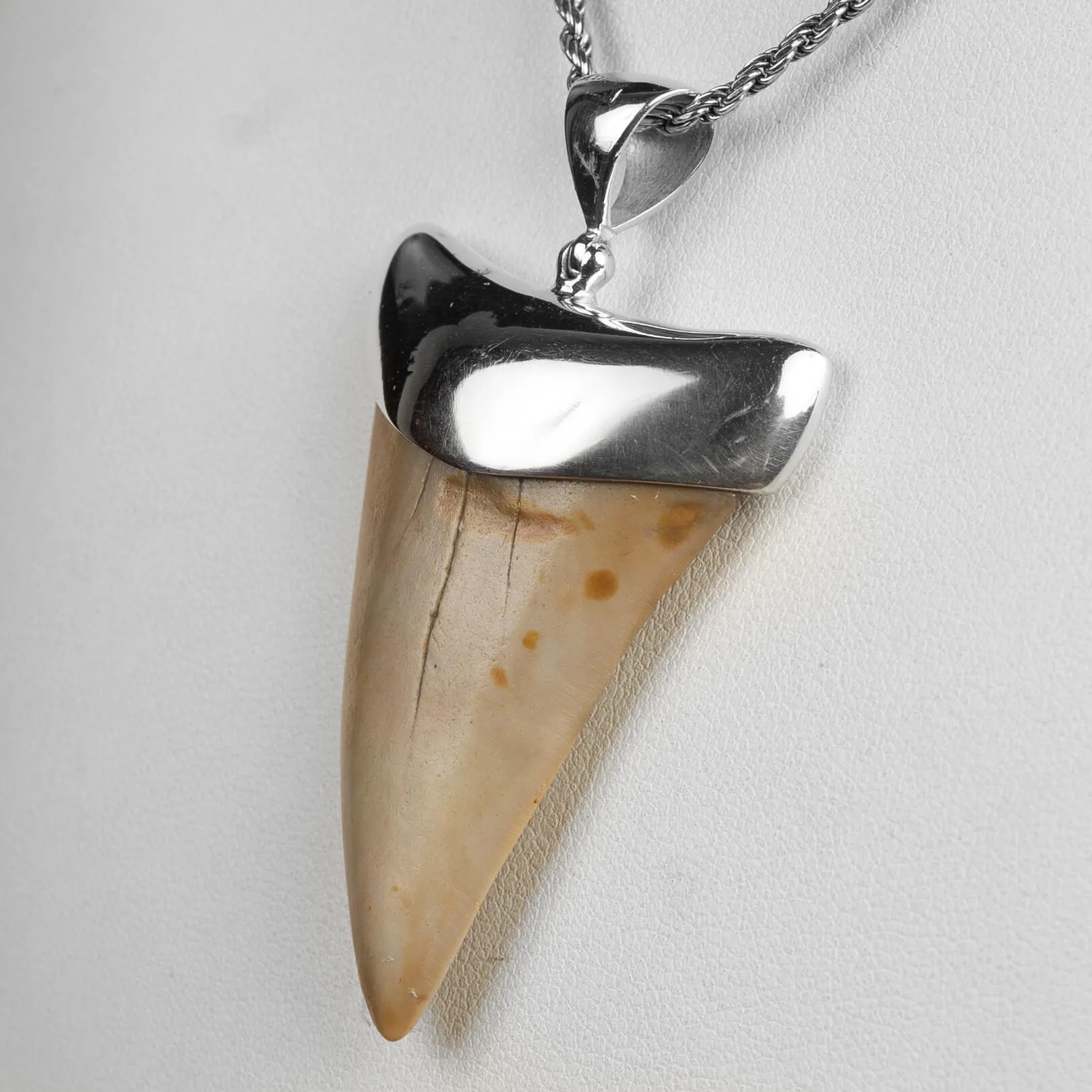 Pendente in argento con Dente di Squalo Fossile