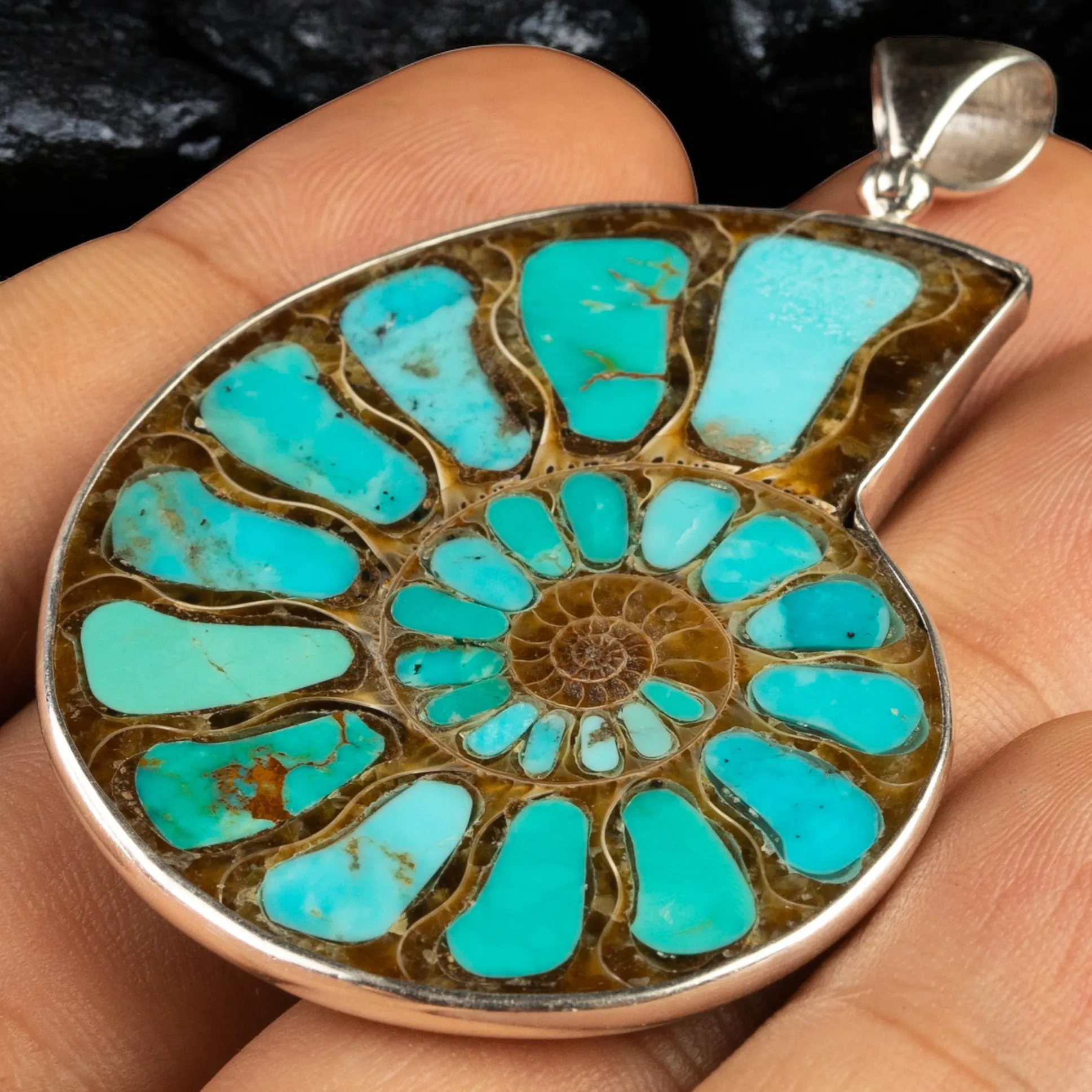 Ammonite Fossile con intarsio in Turchese
