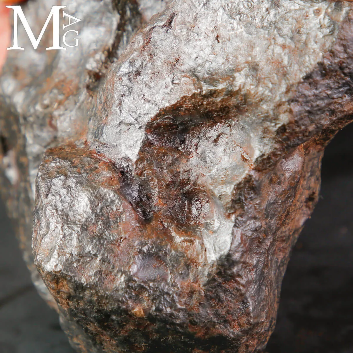 Meteorite Campo del Cielo – Frammento di Stelle Cadute