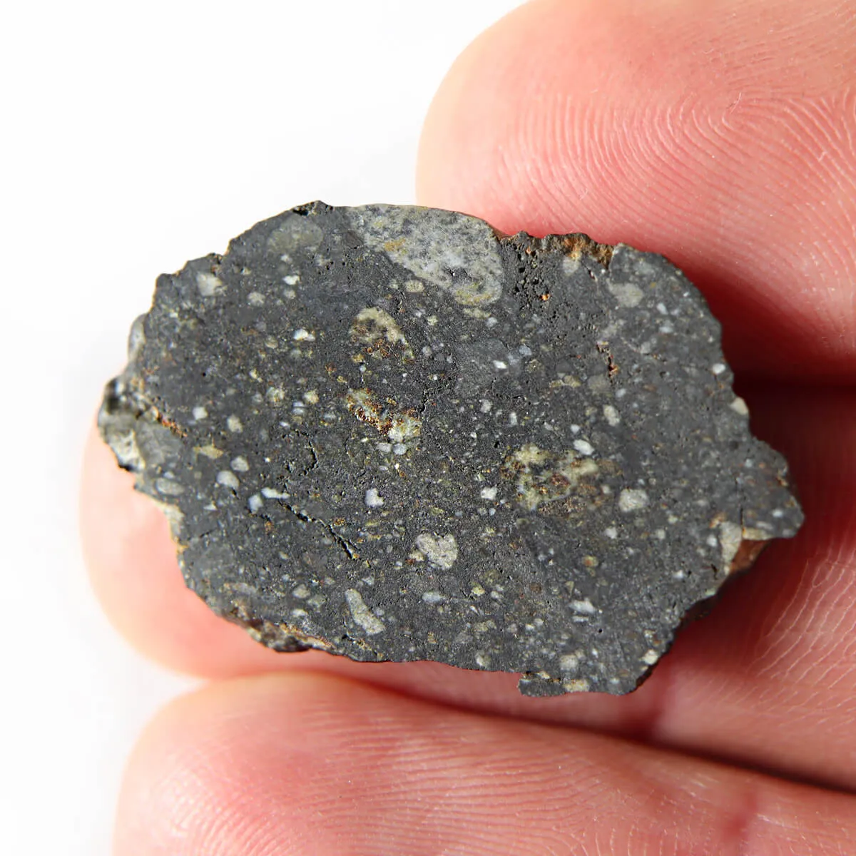 Meteorite di Luna (Lunar NWA 102723)