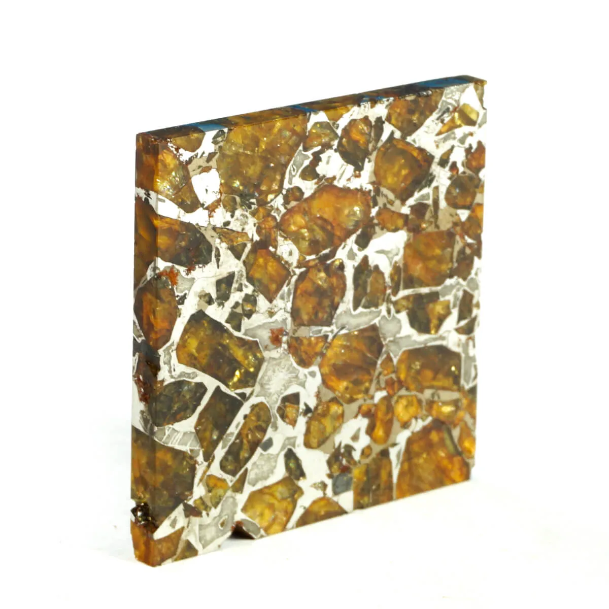 Pallasite Brahin