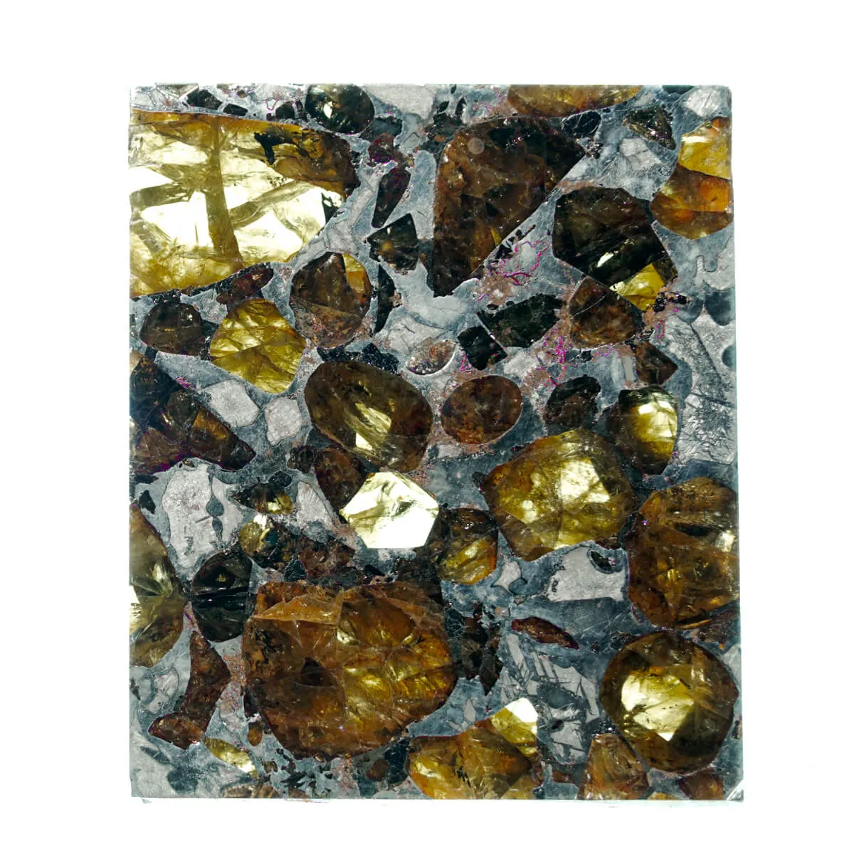 Pallasite Brahin