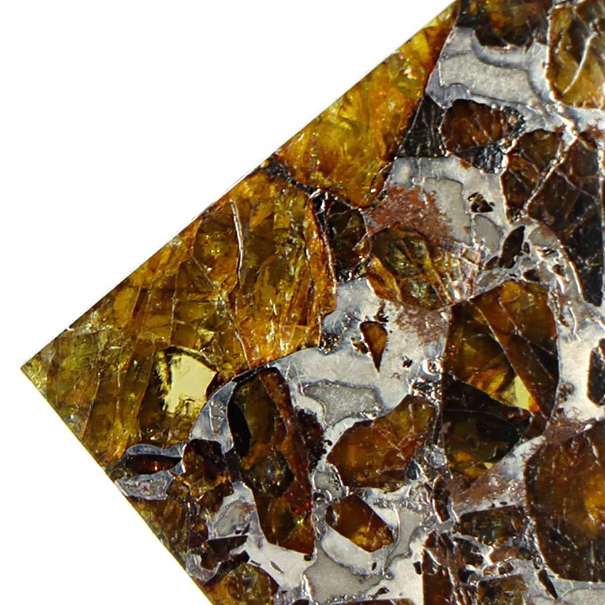 Pallasite Brahin