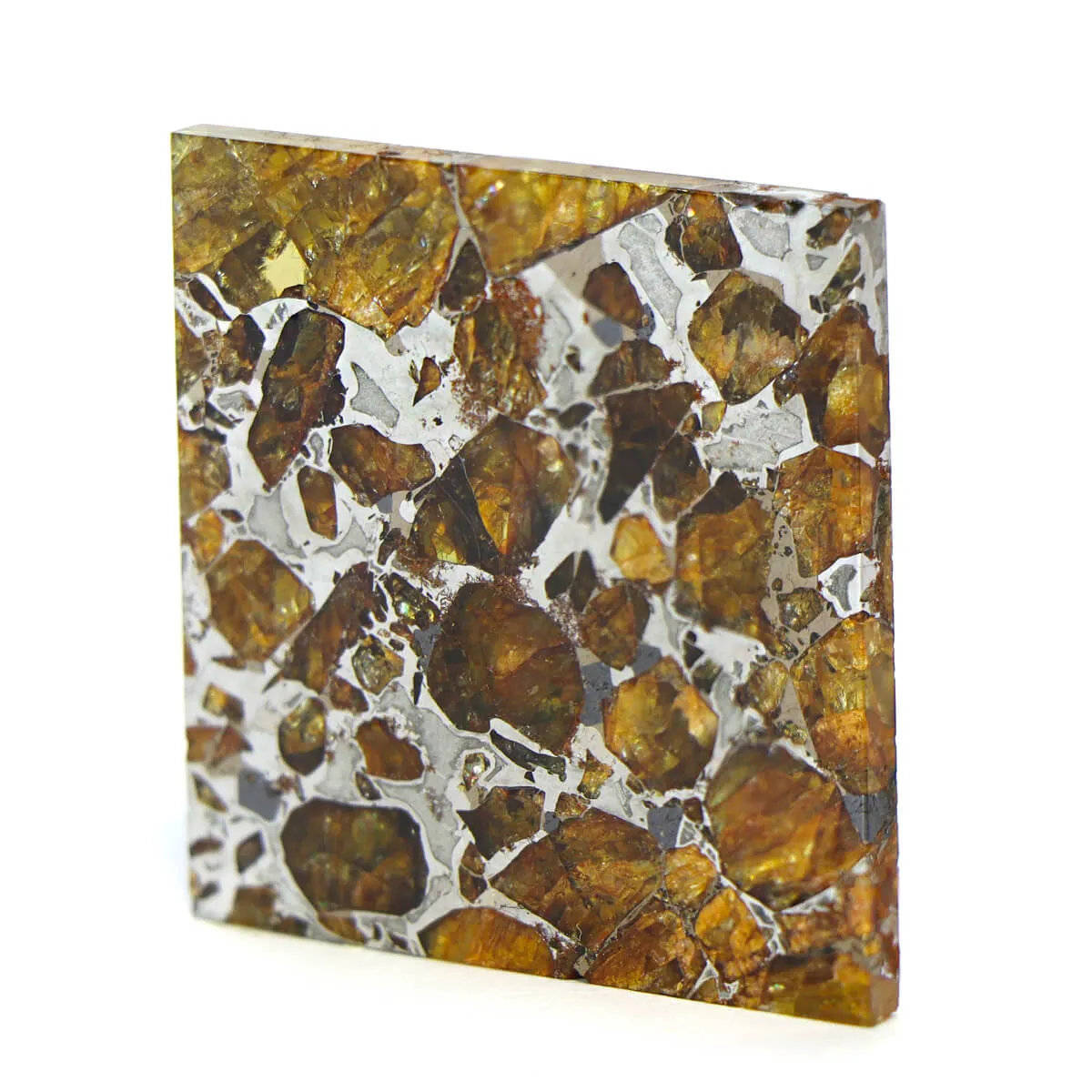 Pallasite Brahin