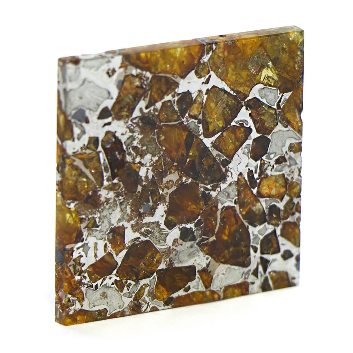 Pallasite Brahin