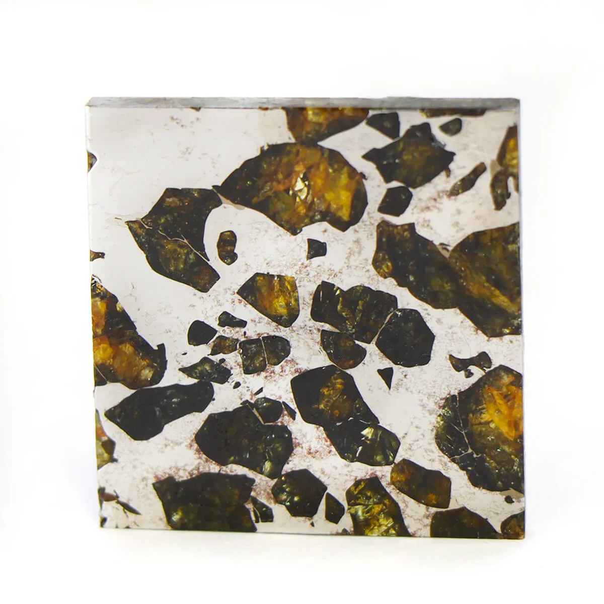 Pallasite Seymchan