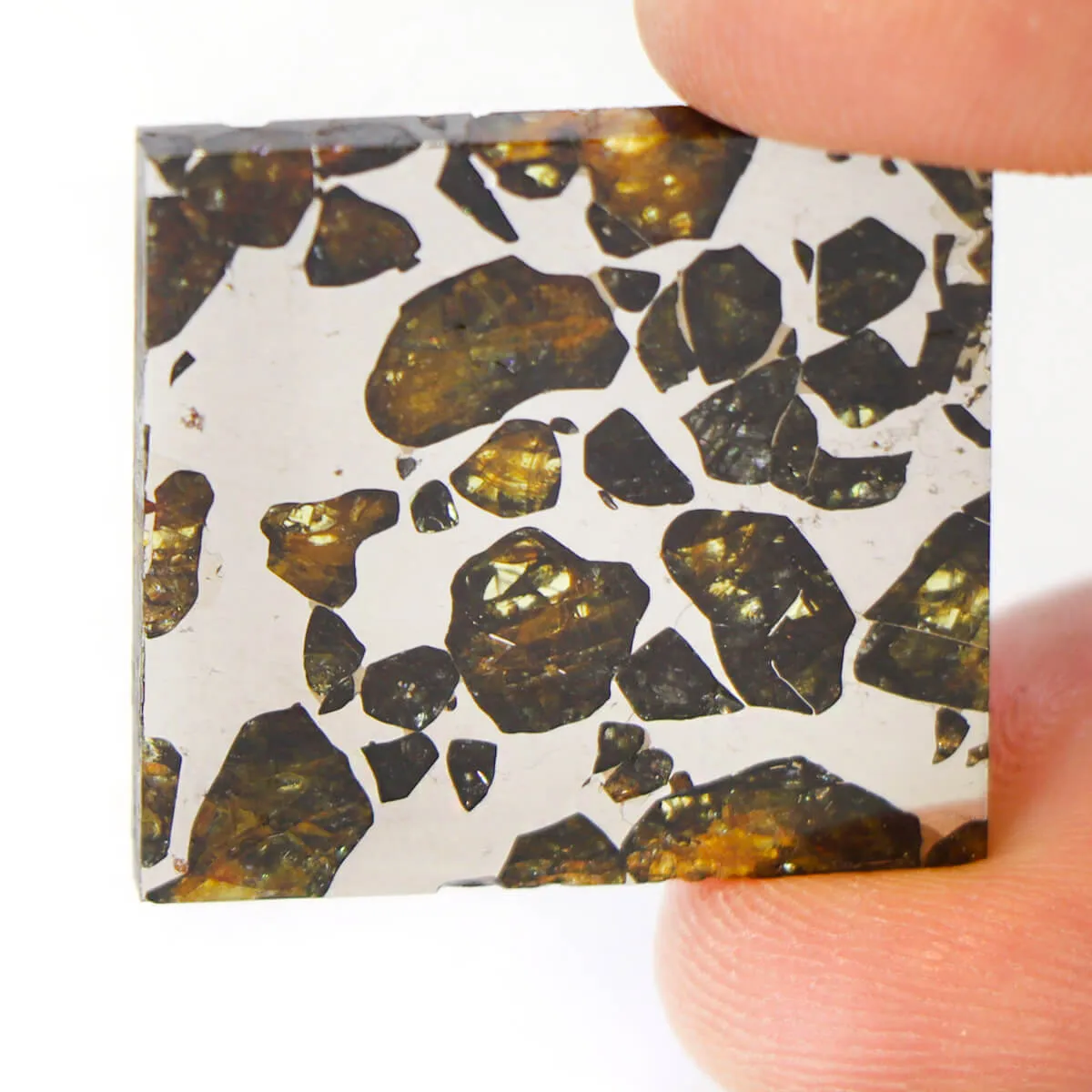 Pallasite Seymchan