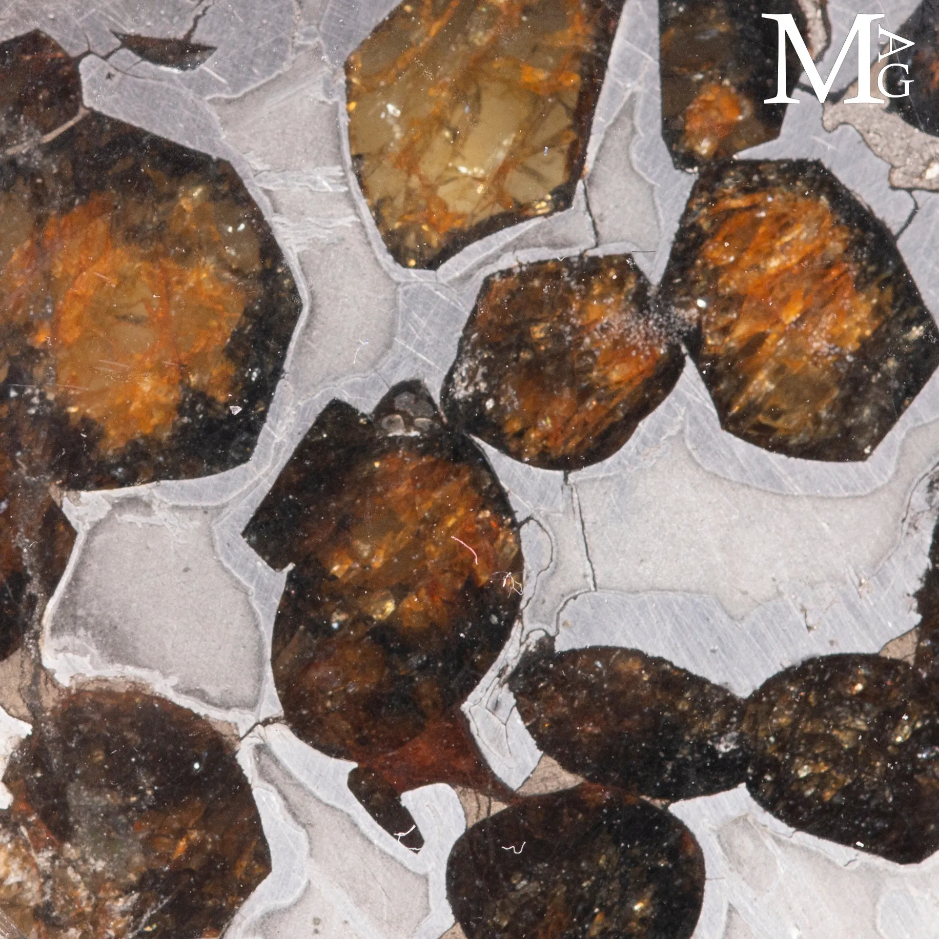 Gioiello orbitale in acciaio con di meteorite pallassite