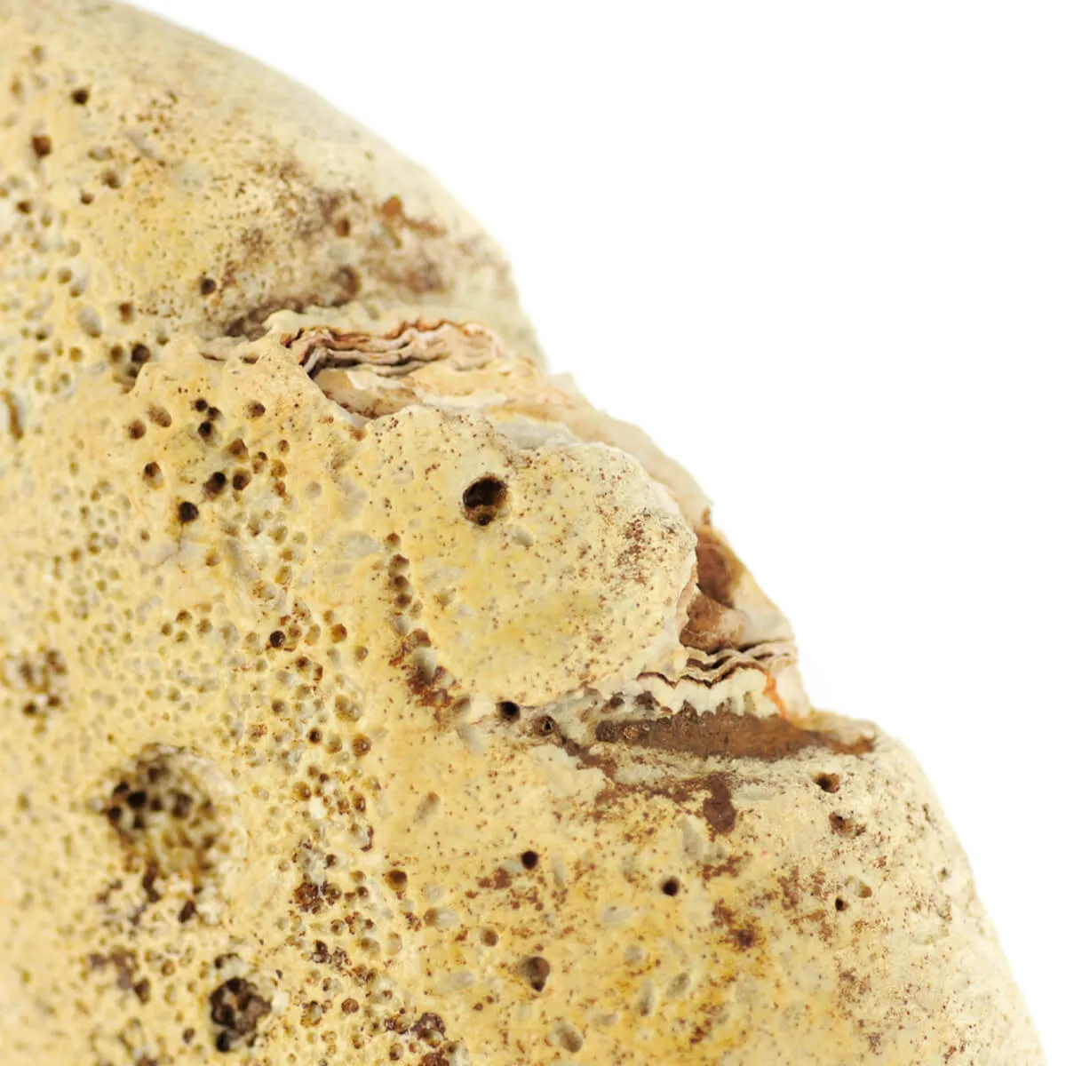 Geode Agata