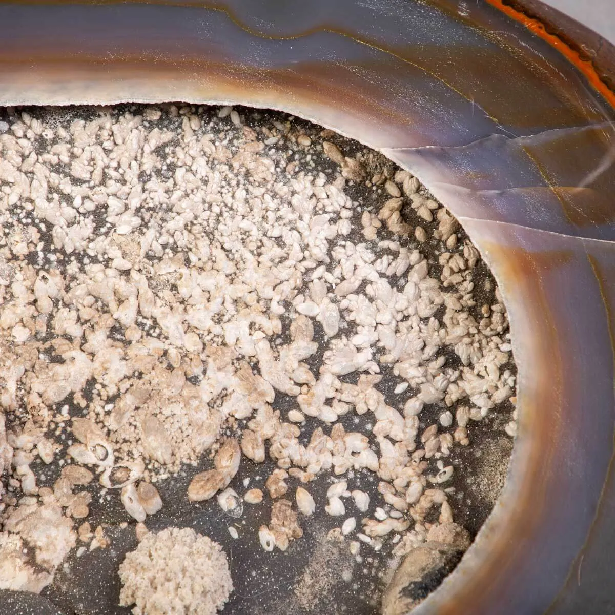 Bellissimo Geode Agata Sezionata " Jewelery Box"