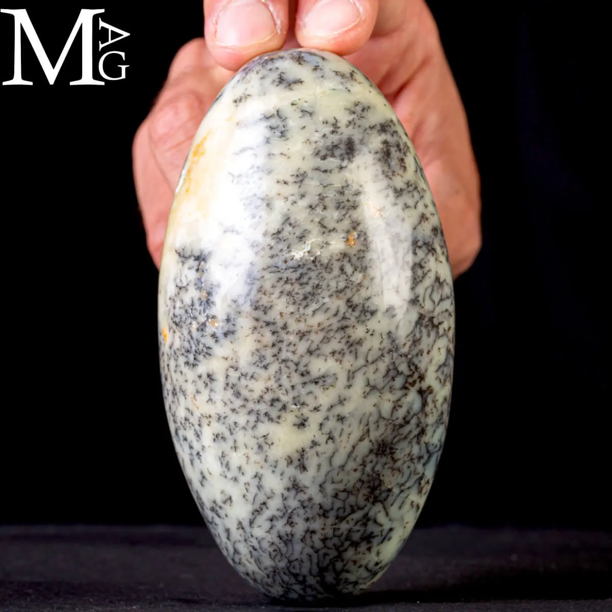 Shiva Lingam in Opale Dendritico.