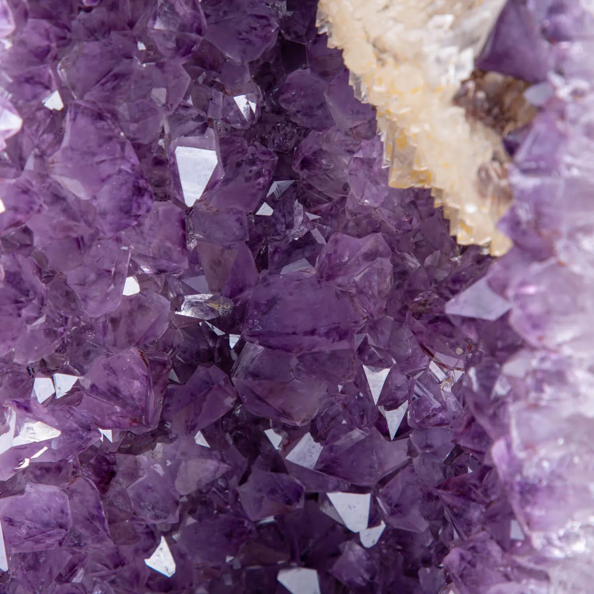 Geode di Ametista dal Brasile.