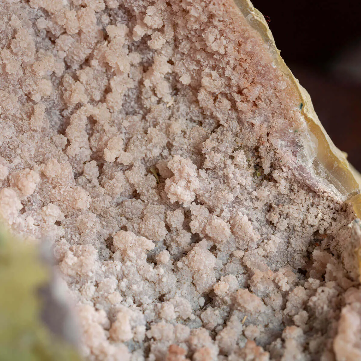 Particolarissimo Geode di Quarzo Ametista: Una Meraviglia Geologica a Doppia Formazione.