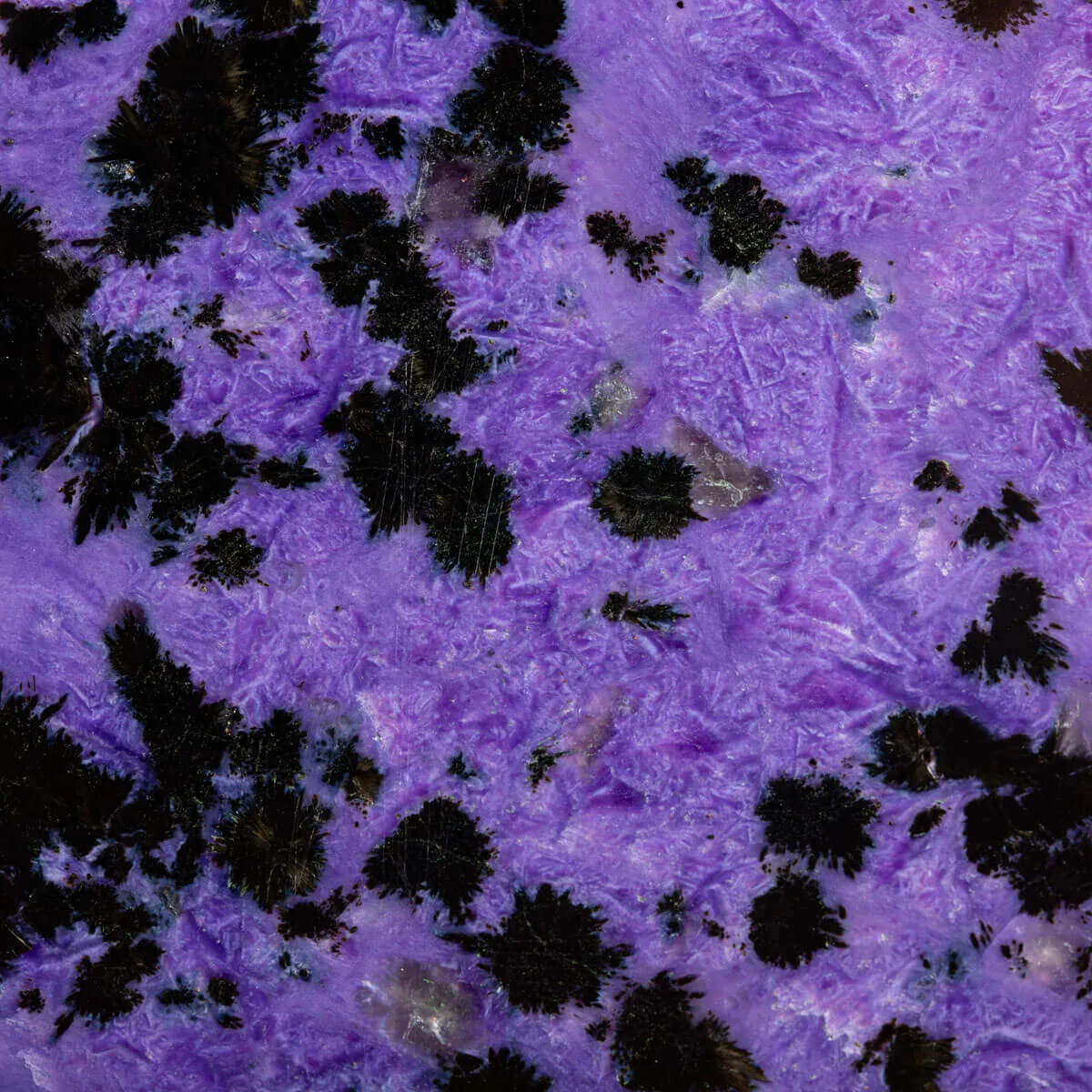 Straordinario Cubo in Charoite