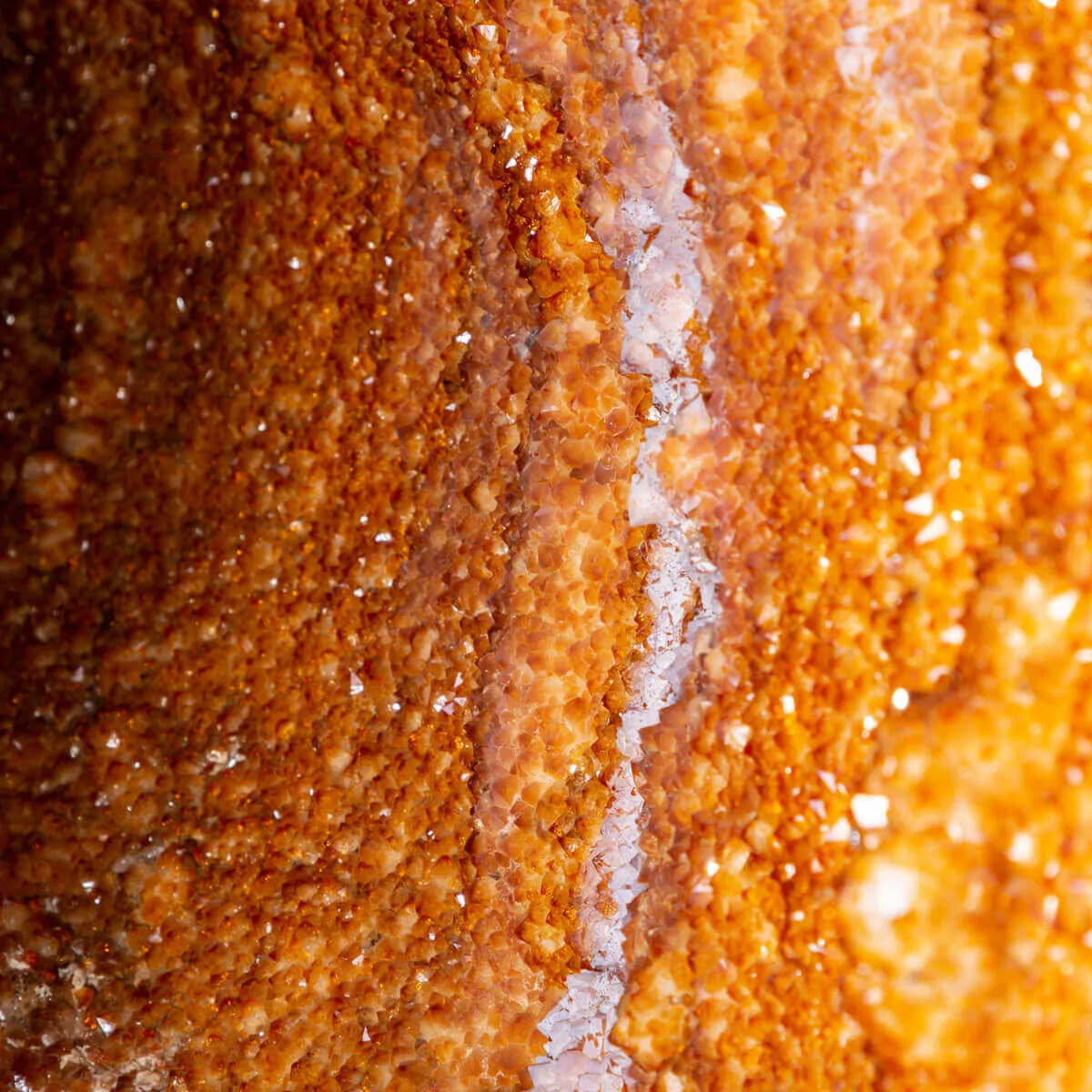 Un Magnifico Geode di Quarzo Citrino dal Brasile - Un Capolavoro Unico