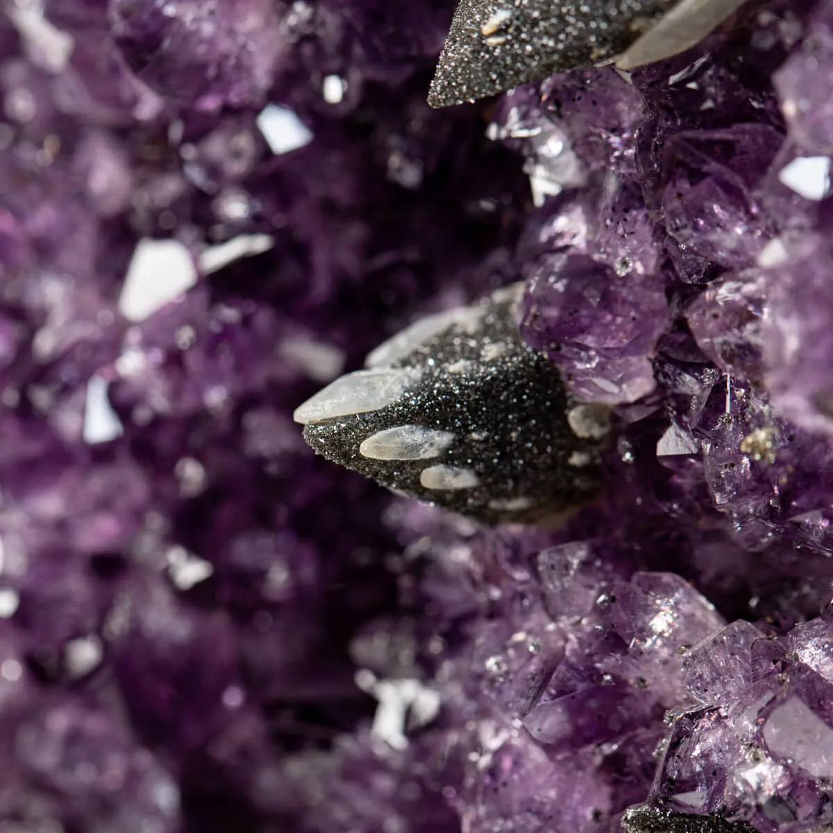 Geode Ametista con Quarzo