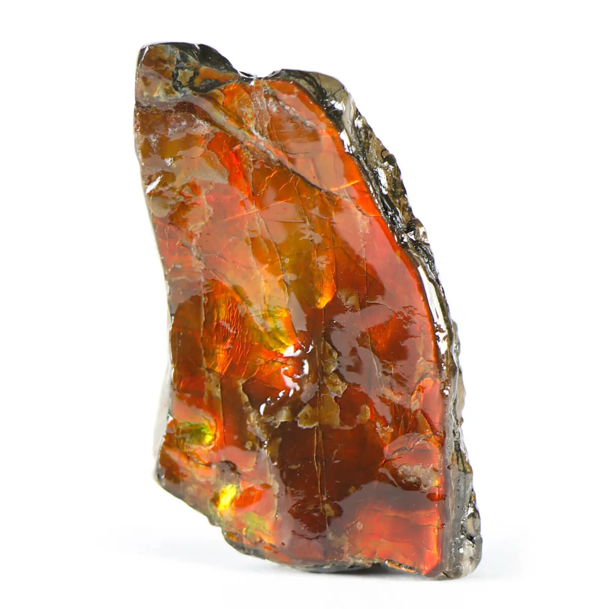 Ammolite