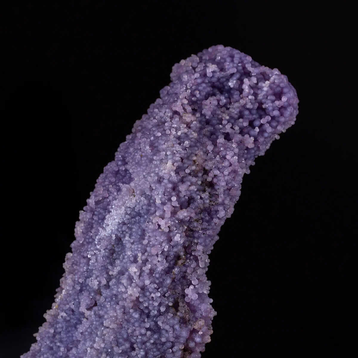 straordinaria formazione di Calcedonio Viola
