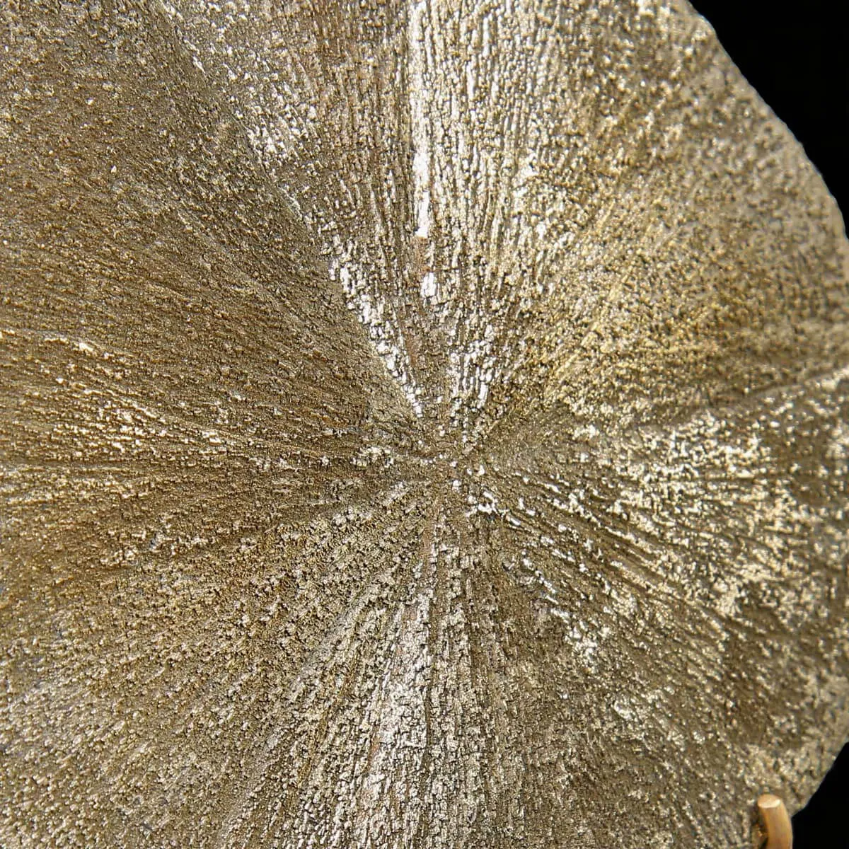 Pirite Sun – Formazione naturale su base decorativa.