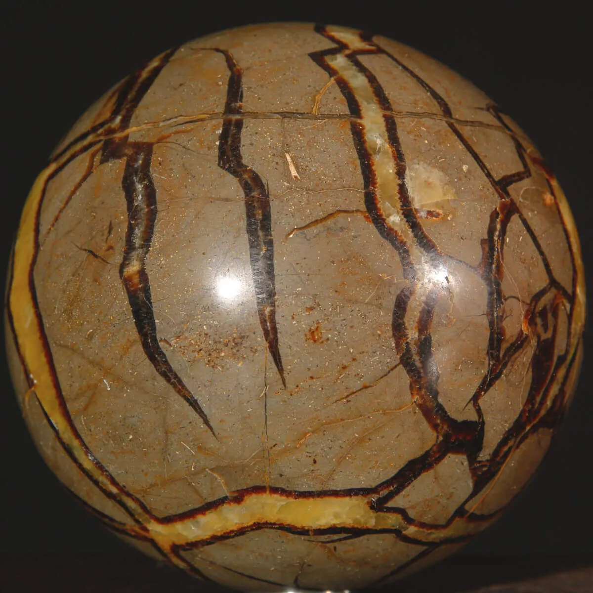 Sfera di Septaria: concrezione di Calcite e Aragonite.