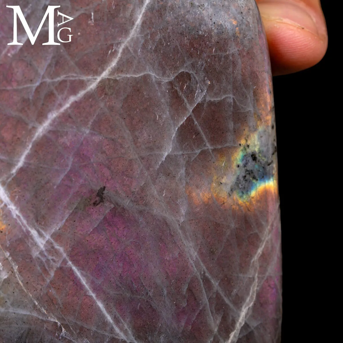 Labradorite Viola.