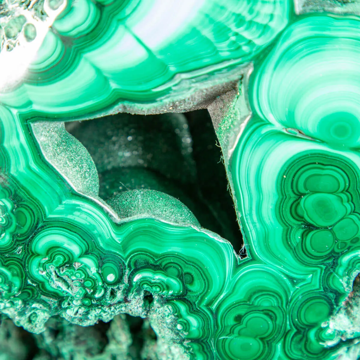 Grande Malachite su Piedistallo