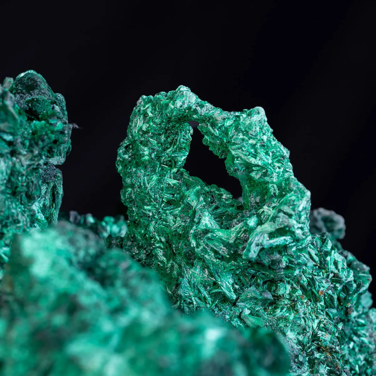 Malachite Fibrosa: Campione Naturale di Incredibile Bellezza e Forma , Straordinariamente Rara.