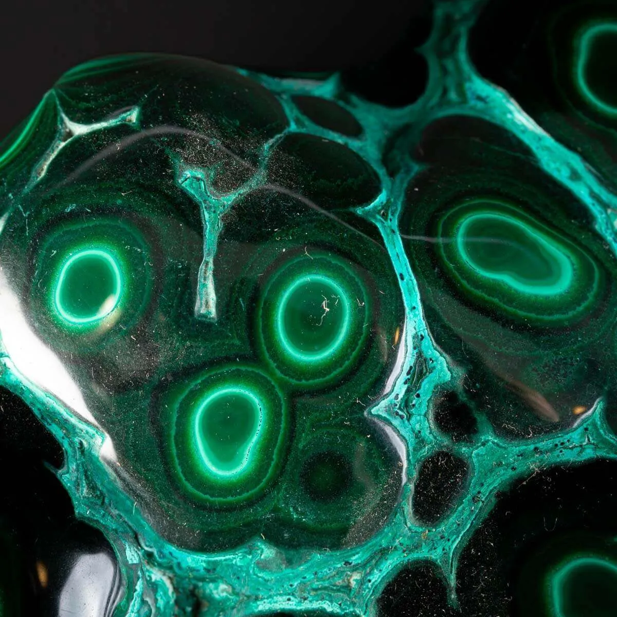 Malachite botroidale verde scuro con crisocolla.