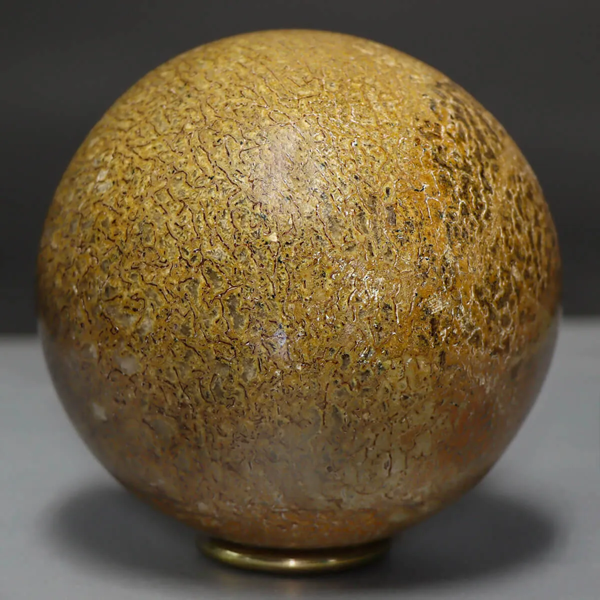 Sfera in Osso di Atlasaurus