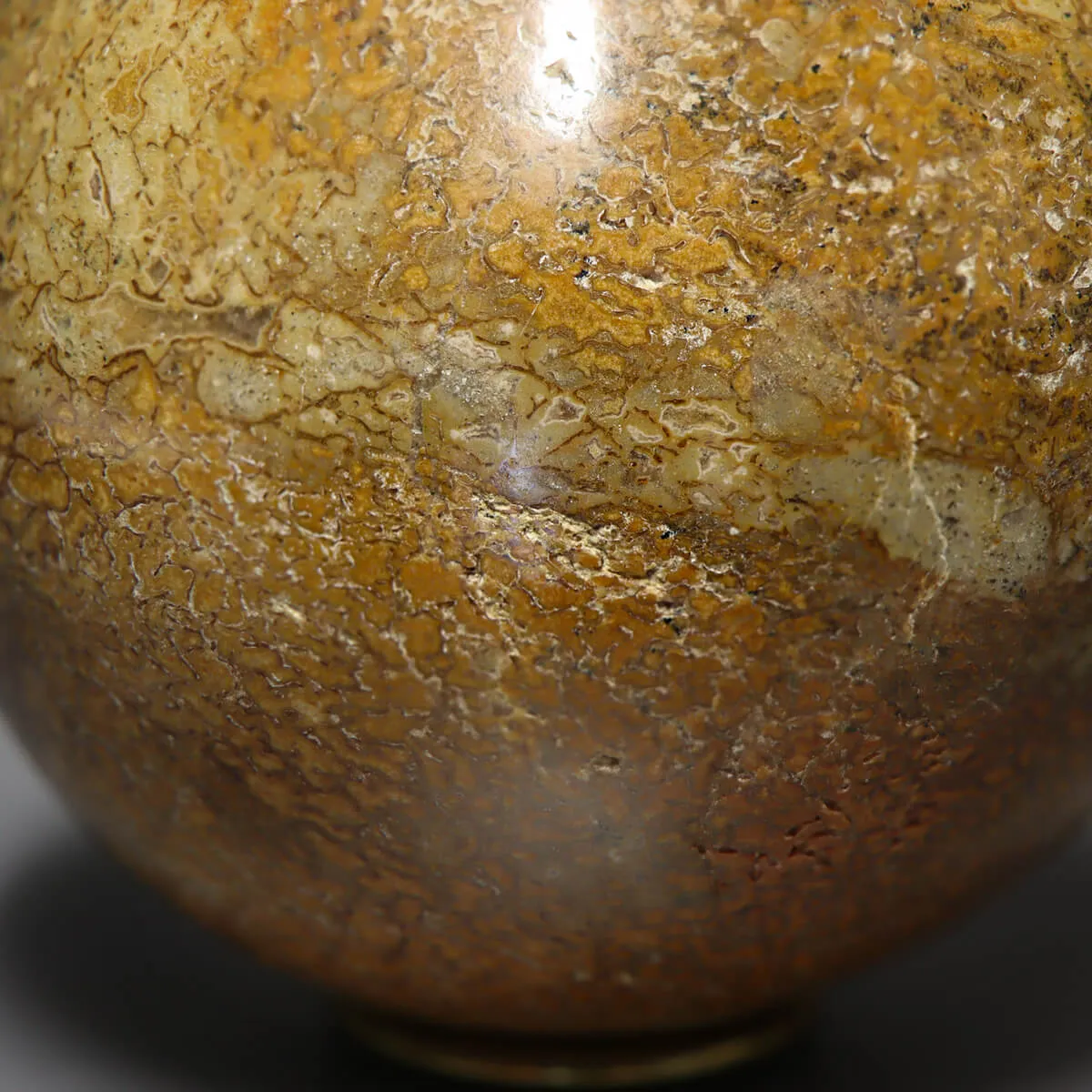 Sfera in Osso di Atlasaurus
