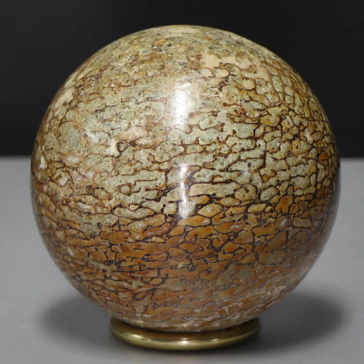 Sfera in Osso di Atlasaurus