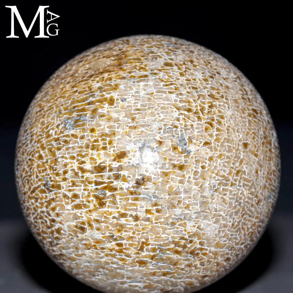 Sfera esclusiva in osso fossile Agatizzato