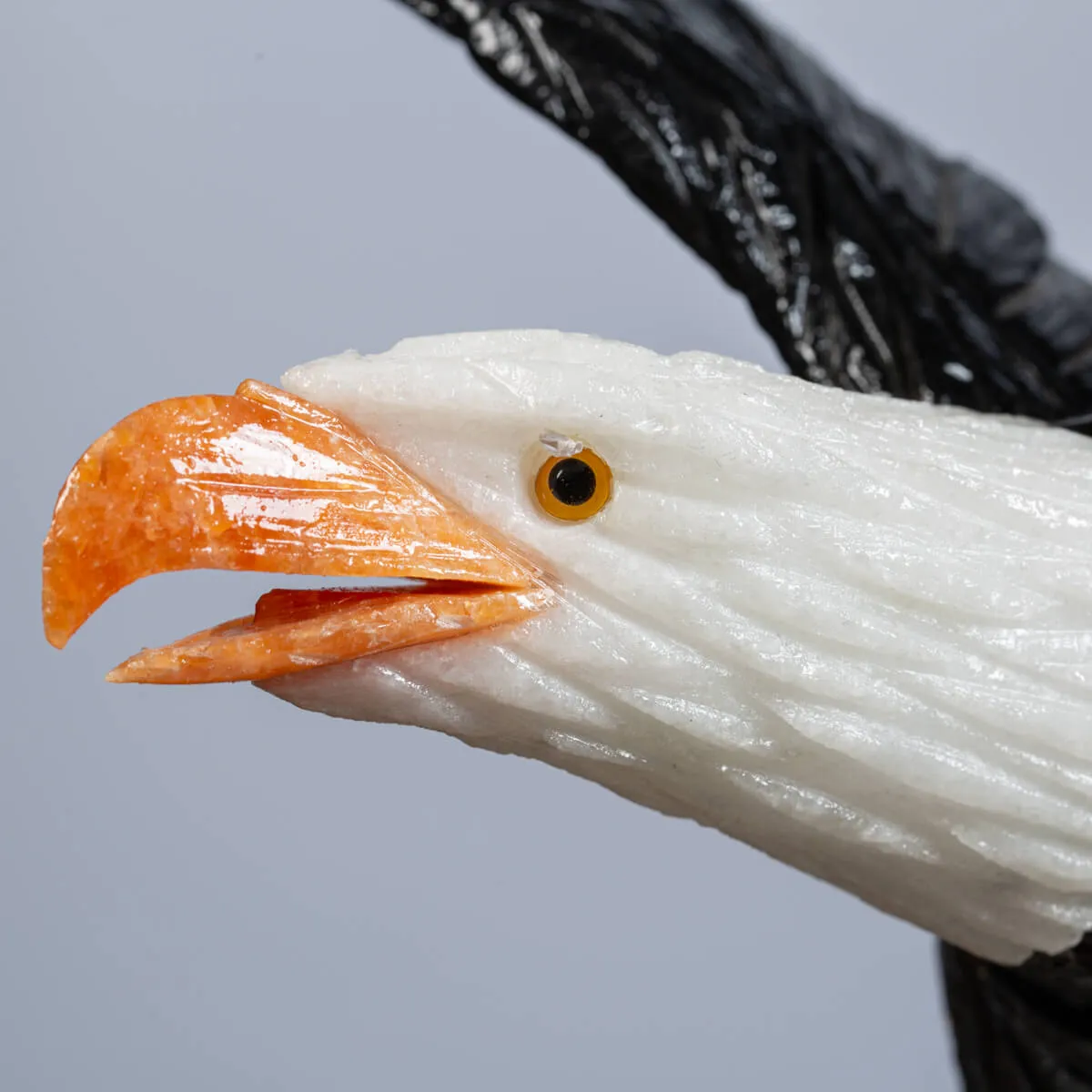 Aquila su Quarzo