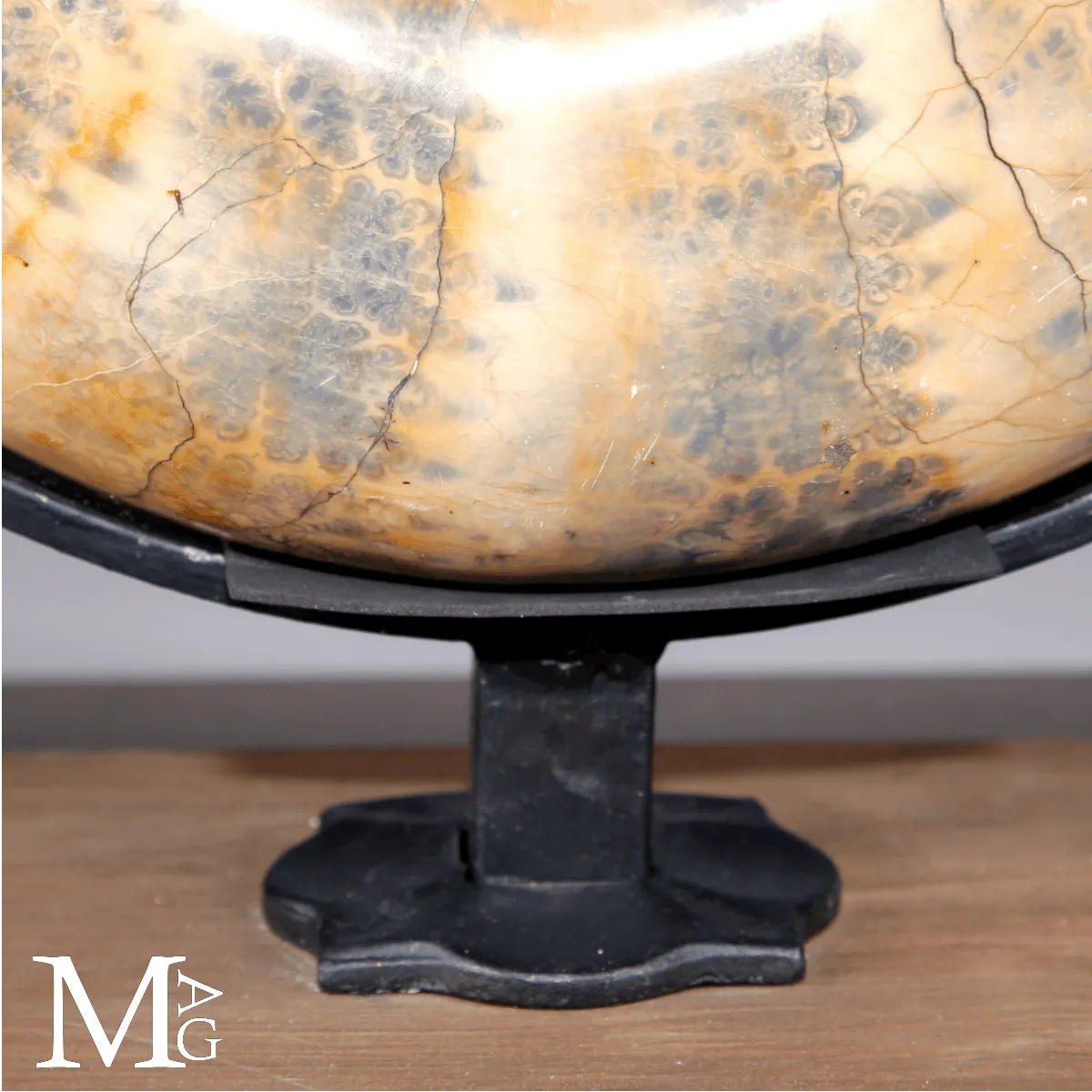 Lytoceras fossile - Grande ammonite su base.