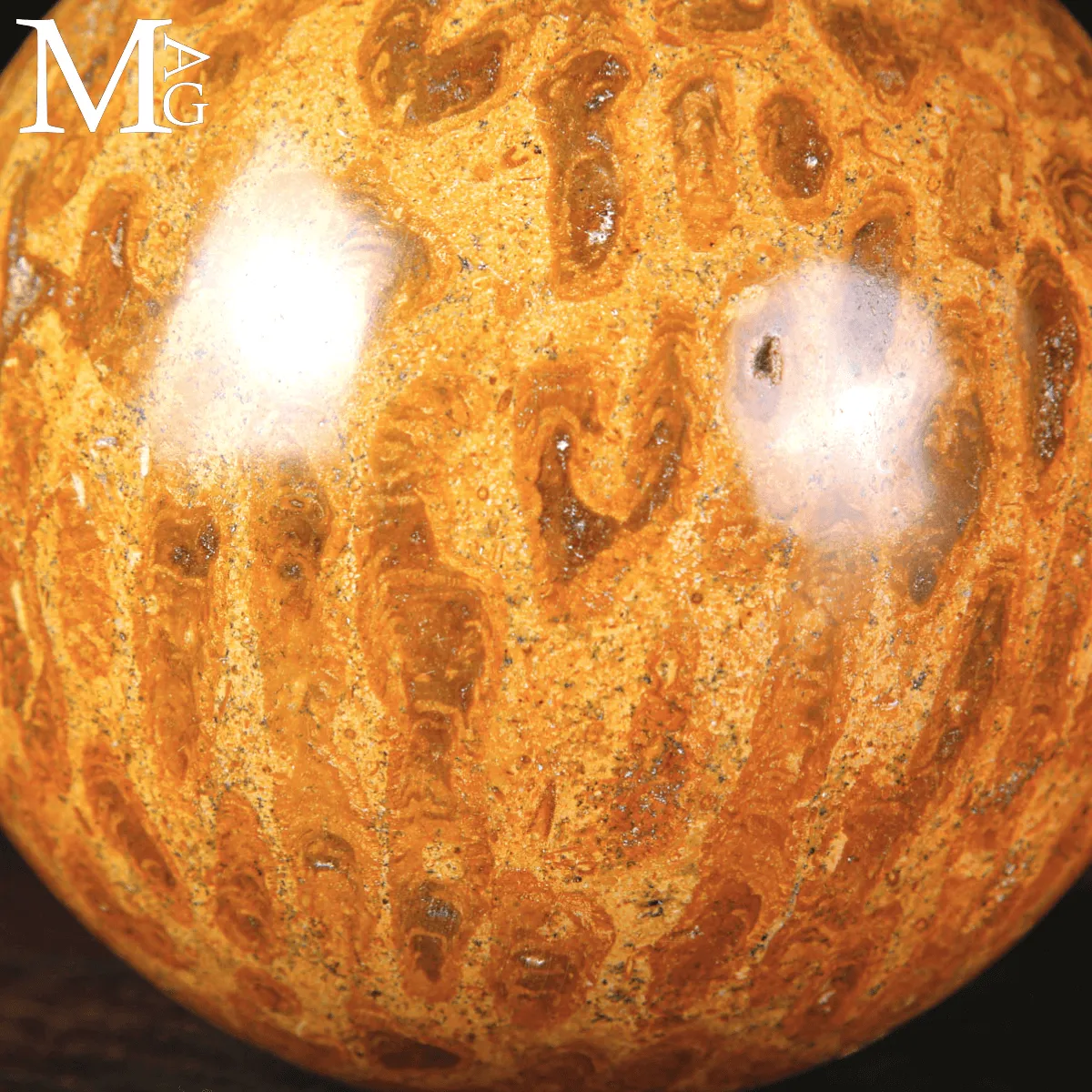 Sfera di Corallo Fossile dal Madagascar.