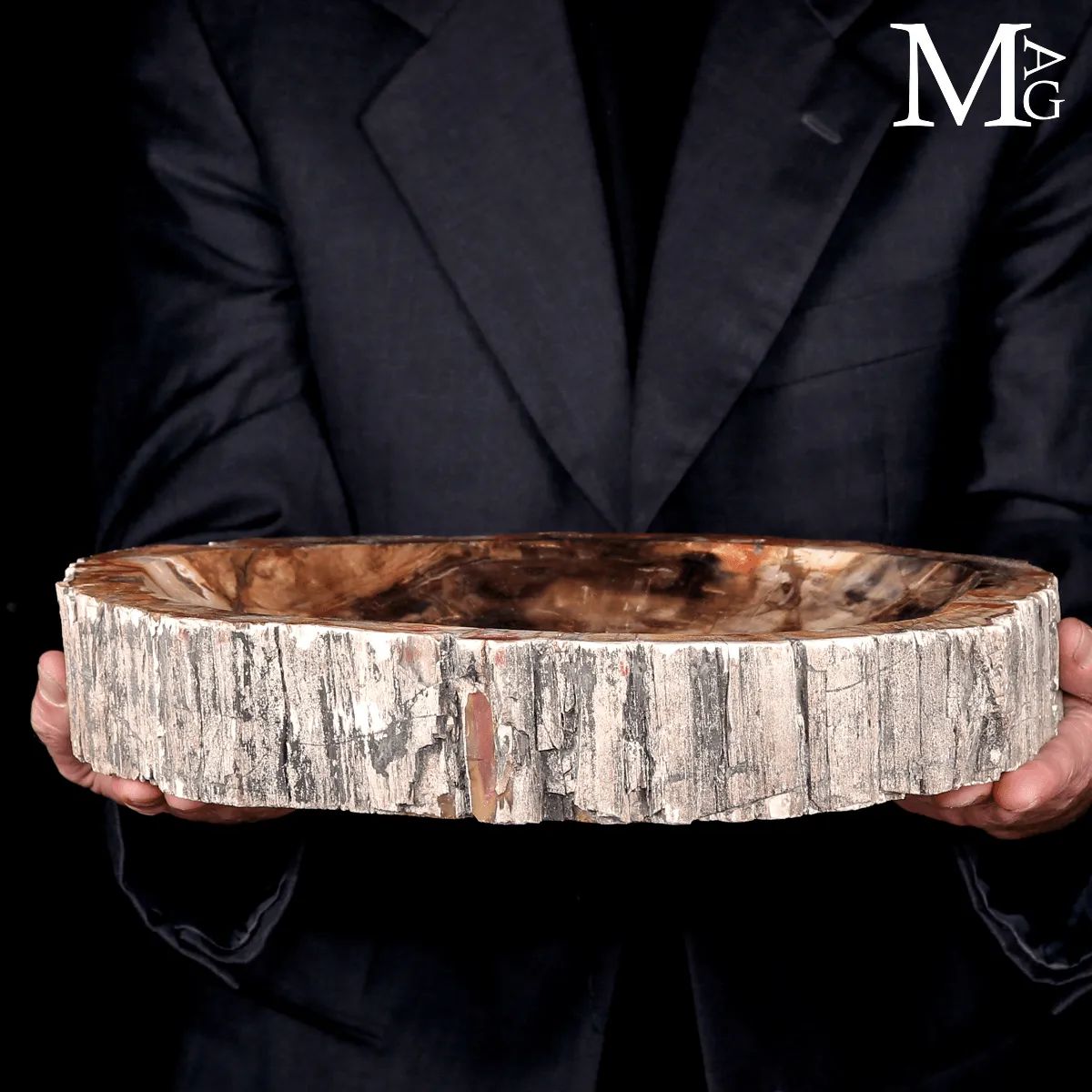 Svuotatasche in Legno Fossile del Madagascar